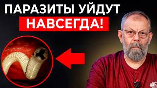 ТЕЛО КРИЧИТ О ПАРАЗИТАХ! 6 шагов избавления от паразитов.