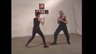 Jerry potteet jeet kune do jun fan o caminho do punho interceptor