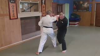 Bassai Sho Bunkai-kumite Nr. 9