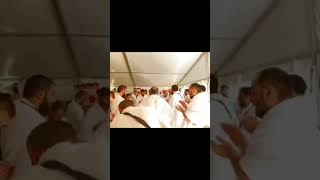 Chechen Hadra In Mina Tents #islam #hajj #hajj2023