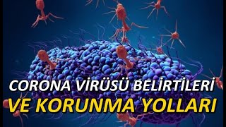 Koronavirüsten Korunma Rehberi - Corona virüsü