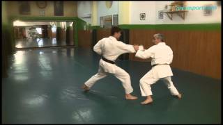 Karate 8. Jiyu ippon kumite