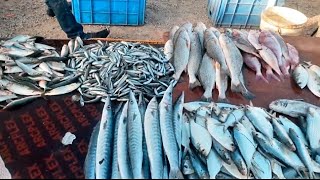 Fresh -Vegetables And Fruits- Markets | In #Oman Salalah 🇴🇲#Bangladeshi Veg and fruits. Markets