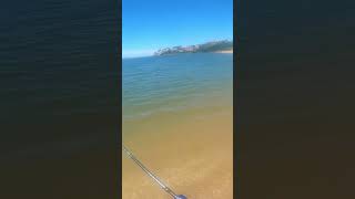 Qual Peixe será que Deu esse Salto lindo no Mar #fishing #pescaria #shorts