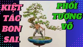 FULL 60 KIỆT TÁC BONSAI PHỐI TƯỢNG RẤT ĐỘC LẠ