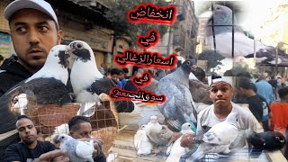 انخفاض في اسعار الزغاليل في سوق الجمعه بالإسكندرية الجزء الثاني #شريف_الغيه_المصريه