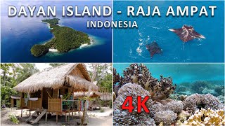 Dayan island, Raja Ampat, Indonesia - drone, snorkeling, accommodation, price, food in 4K