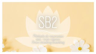 RESPIRATION ANTI STRESS EXPRESS - STRESS BREAKING BREATHING - SB2 - FLEURS