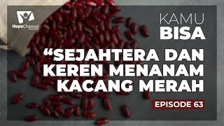 KAMU BISA Episode 63 "Sejahtera dan keren Menanam Kacang Merah"