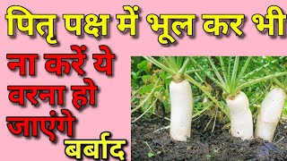 पितृपक्ष में क्या करें क्या ना करें||pitra paksh mein kya nahin karna chahie