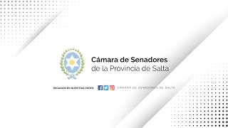 VIVO - 22° SESIÓN ORDINARIA - 126° PERIODO LEGISLATIVO - CÁMARA DE SENADORES DE SALTA