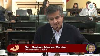 Senador Gustavo Carrizo - RIGI