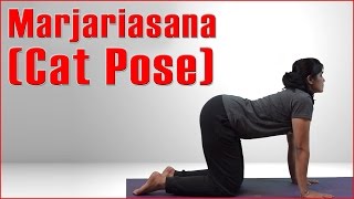 Ashtanga Yoga: Marjariasana (Cat Pose) & Its Benefits