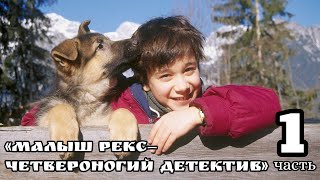 «Малыш Рекс — четвероногий детектив» 1 часть (1997 год)