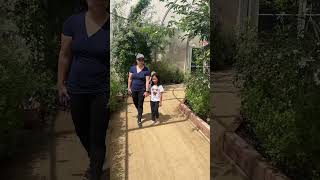 Santa Ana Zoo Butterfly Experience