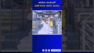 తిరుమల ఆలయంలో మహా శాంతి యాగం మొదలు | Maha Shanti Yagam Started At Tirumala | Tirumala laddu Issue