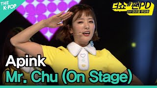 Apink, Mr. Chu (On Stage) (에이핑크, Mr. Chu (On Stage)) [더쇼 팬PD 170724]