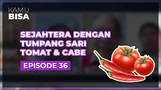 KAMU BISA "Sejahtera dengan Tumpang Sari Tomat dan Cabe" - Episode 36