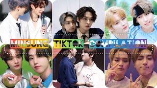 Minsung TikTok Compilation pt.3