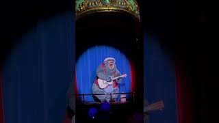 Big Al - Country Bear Musical Jamboree