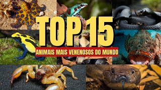 TOP 15 ANIMAIS MAIS VENENOSOS DO MUNDO #animais