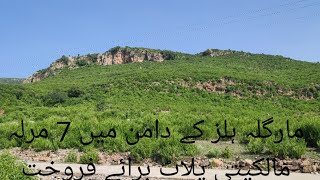 7 Marla Plot For Sale In Shah Allah Ditta