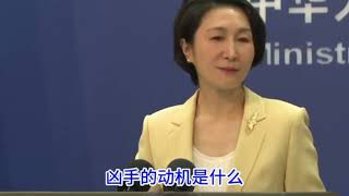 毛宁记者会再次变身复读机强调“个案”，副县长回旋镖转眼就扎脑门上。｜新闻特写20240923｜