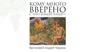 Кому много вверено, с того больше взыщут | Протоиерей Андрей Чернеев