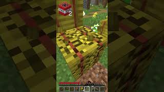 Minecraft But if you SUBSCRIBE TNT SPAWNS!