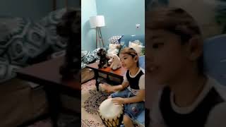 djembe player #djembe #play #playing #music  #trending #littleboy #viralvideo #singer #drums #cute