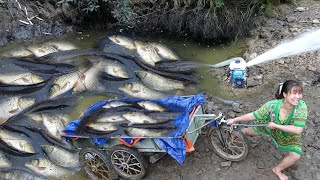 Wild Fishing Exciting, Use Water Cannon Pump Sucks Water Out Of Wild Lake Catch Many Fish