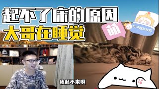 【少酱和大哥】睡着的大哥和屏幕上的猫（20210923 0924）