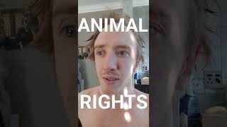 Animal Rights #animals