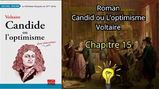 Roman Candid ou l'optimisme de voltaire chapitre 15 Audiobook