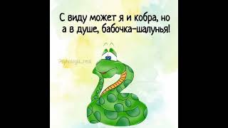 СМЕШНОЕ для настроения #смех #юмор #длянастроения