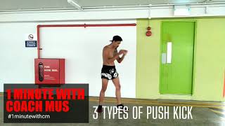 3 Types Of Push Kick