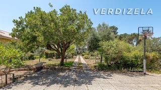 Terreno com 966 m² na Verdizela