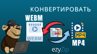 Как Конвертировать WEBM В MP4 Онлайн (простое Руководство)