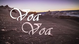 Amanda Lince - Voa Voa - (Lyric Video) - Autoral