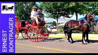 Our Town Arthur Celebration and WCIA