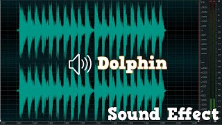 Dolphin Sound Effect