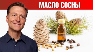 Удивительная польза масла сосны. Сила эфирных масел👌