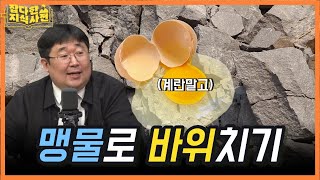 [📺다시보잡] 계란으로 바위치기🥚 속담들에 숨겨진 과학