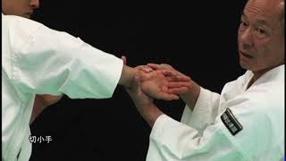 The secret techniques Kiri Gote. Shorinji Kempo. Sensei Arai Tsunehiro. 少林寺拳法 武道少林寺拳法の講義