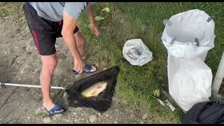 Донная ловля сазана Эпизод 4: Сазан 2.350 кг. Fishing a carp on a bottom rod Episode 4: Carp 2.350kg