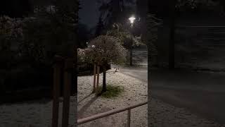 Relaxing Snowfall in German Street | Germany #Shorts #germany #snow #snowfall