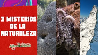 3 Misterios de la NATURALEZA: ¿Qué esconde nuestro mundo? Lugares y animales misteriosos.