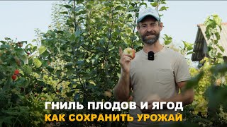 ГНИЛЬ ПРОБРАЛАСЬ В САД И ОГОРОД? Как бороться с гнилью  и не допустить её на свой участок.