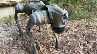 Robot dogs could be unleashed on Ukraine's front lines | AFP