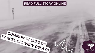 Common delivery delays - read the causes and how tips to avoid them